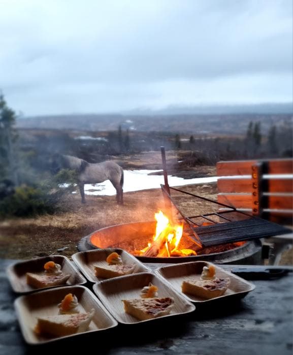 Gallery media #6